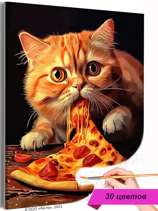 Картина по номерам 'Кот и пицца Животные Кошки 40х50' #1