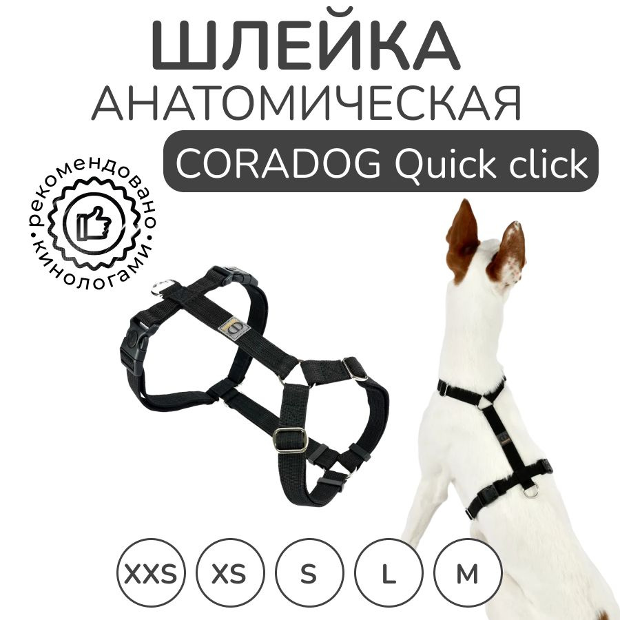 Шлейка для собак прогулочная анатомическая, CORADOG Quick click, размер M, цвет черный  #1