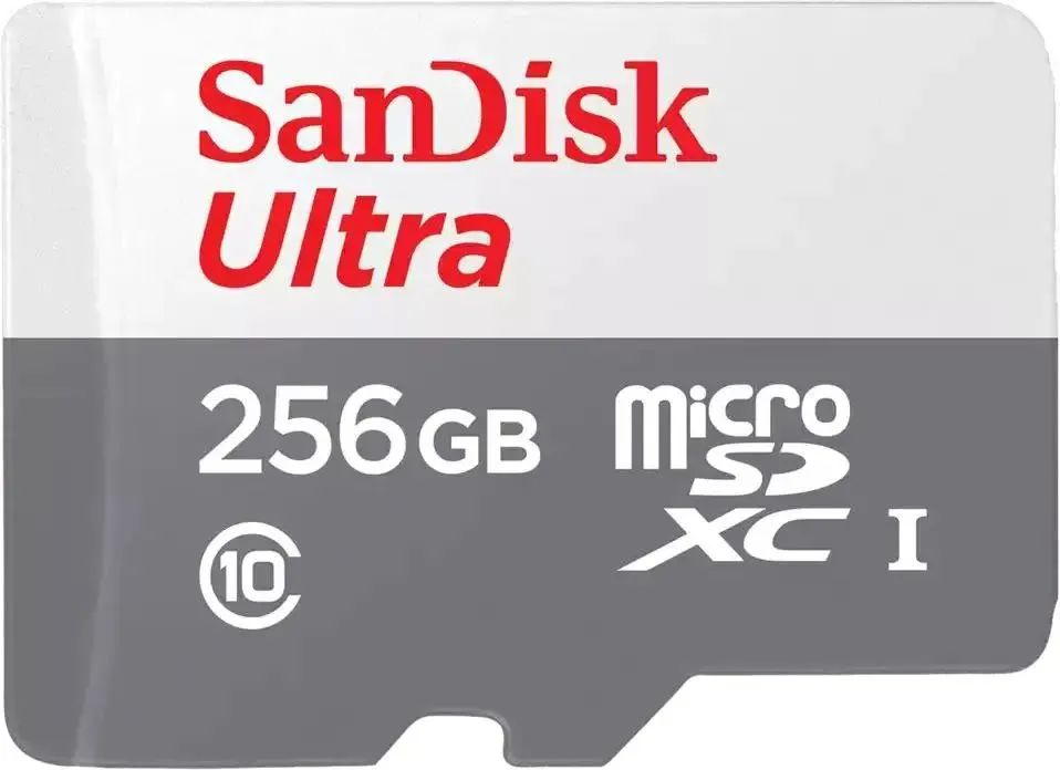 SanDisk Карта памяти Ultra Speed 256 ГБ #1