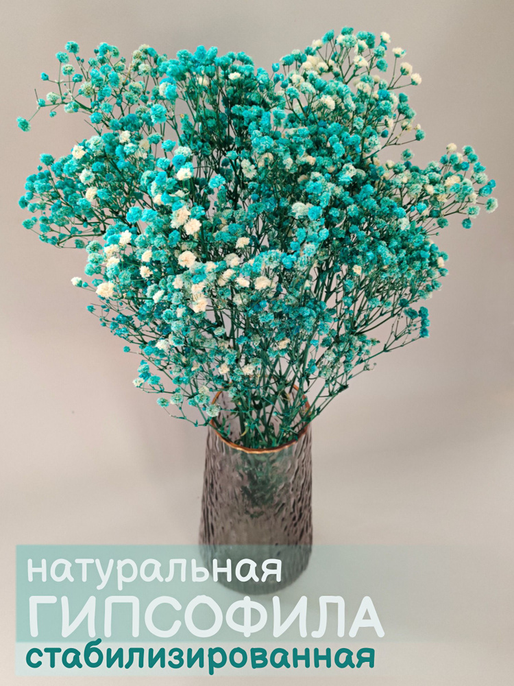 Стабилизированные цветы Гипсофила, 40 см, 100 гр #1