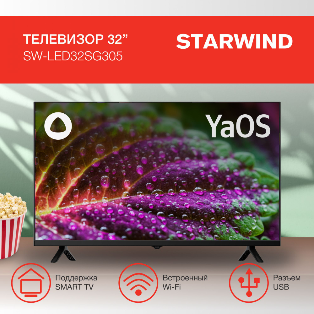 STARWIND Телевизор SW-LED32SG305 32" HD, черный #1