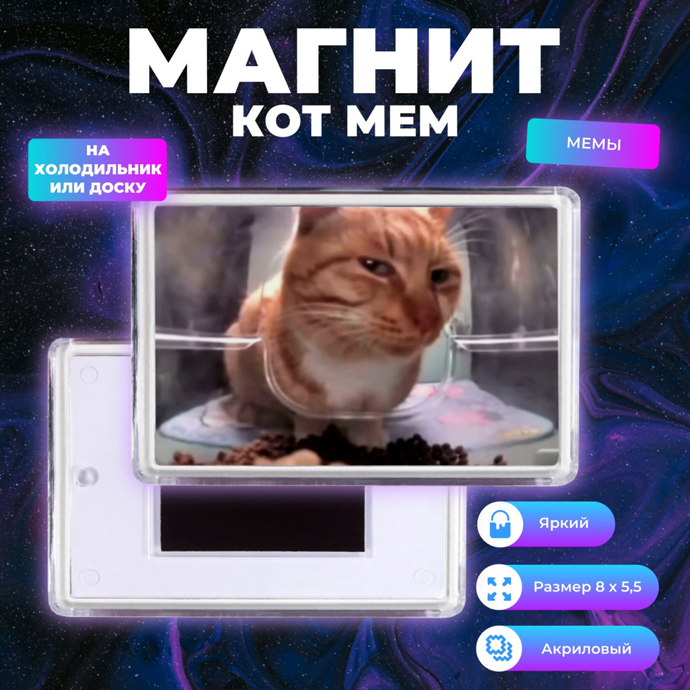 Магнит Кот Сигма мем / Магнит кот стример 8 х 5,5 см. Магнит Мемы Кот Сигма  8х5,5 8004 - купить по выгодной цене в интернет-магазине OZON (1520095588)