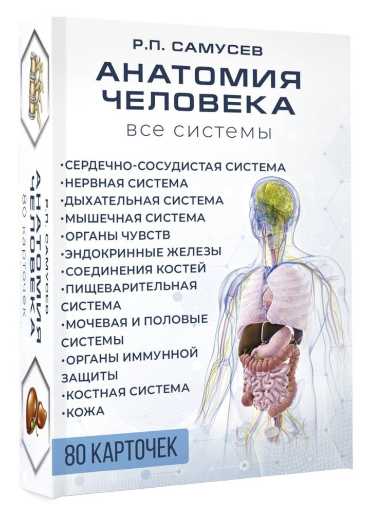 Анатомия человека. Все системы (80 карточек) | Самусев Рудольф Павлович  #1