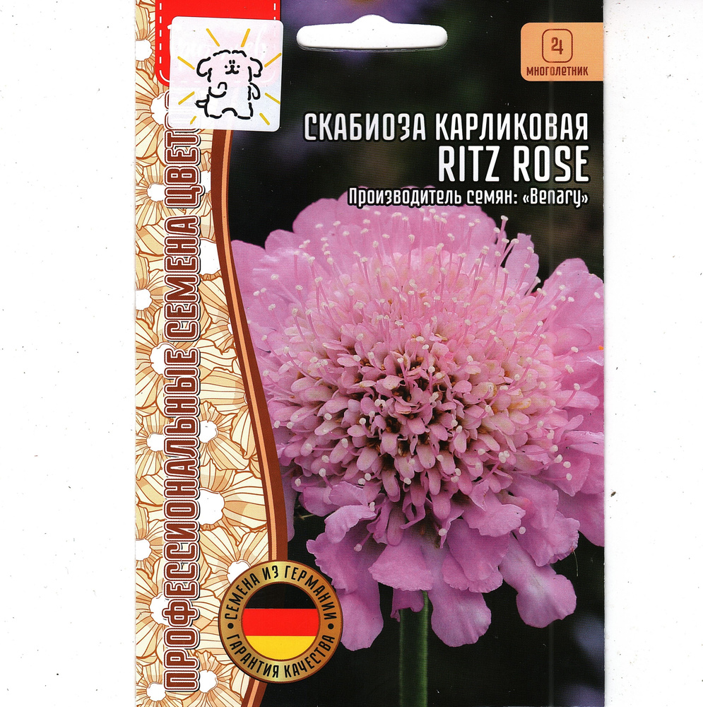 Скабиоза карликовая Ritz Rose, обильно цветёт всё лето, многолетник ( 1 уп: 5 семян )  #1