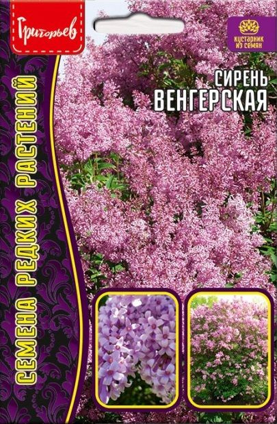 Сирень Венгерская, семена редких растений, 10 шт #1