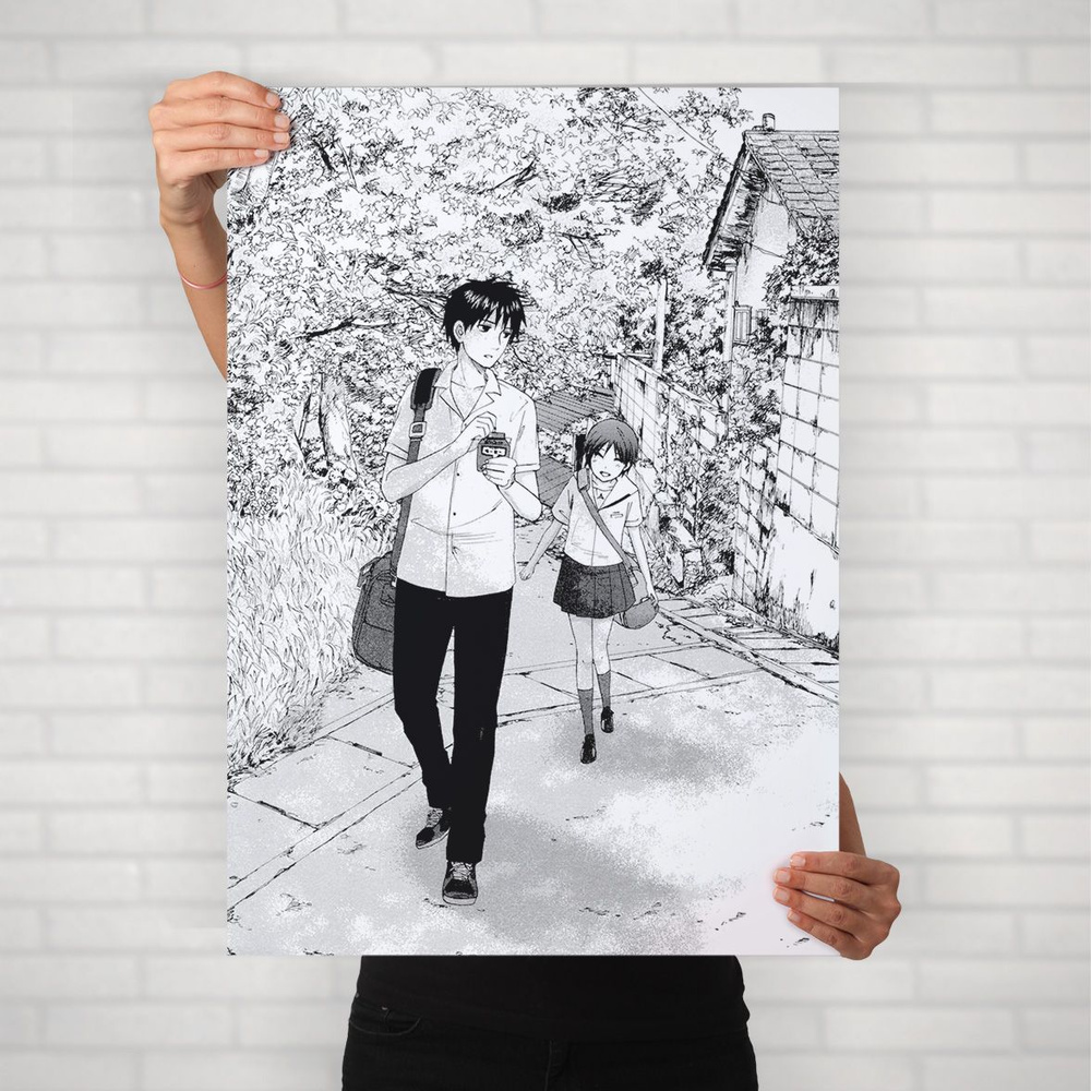 Плакат на стену для интерьера Макото Синкай (Пять сантиметров в секунду - Такаки и Акари 2) - Постер #1