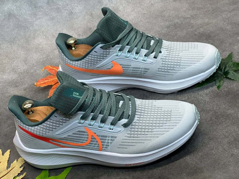 Кроссовки Nike Air Zoom Pegasus 33 #1