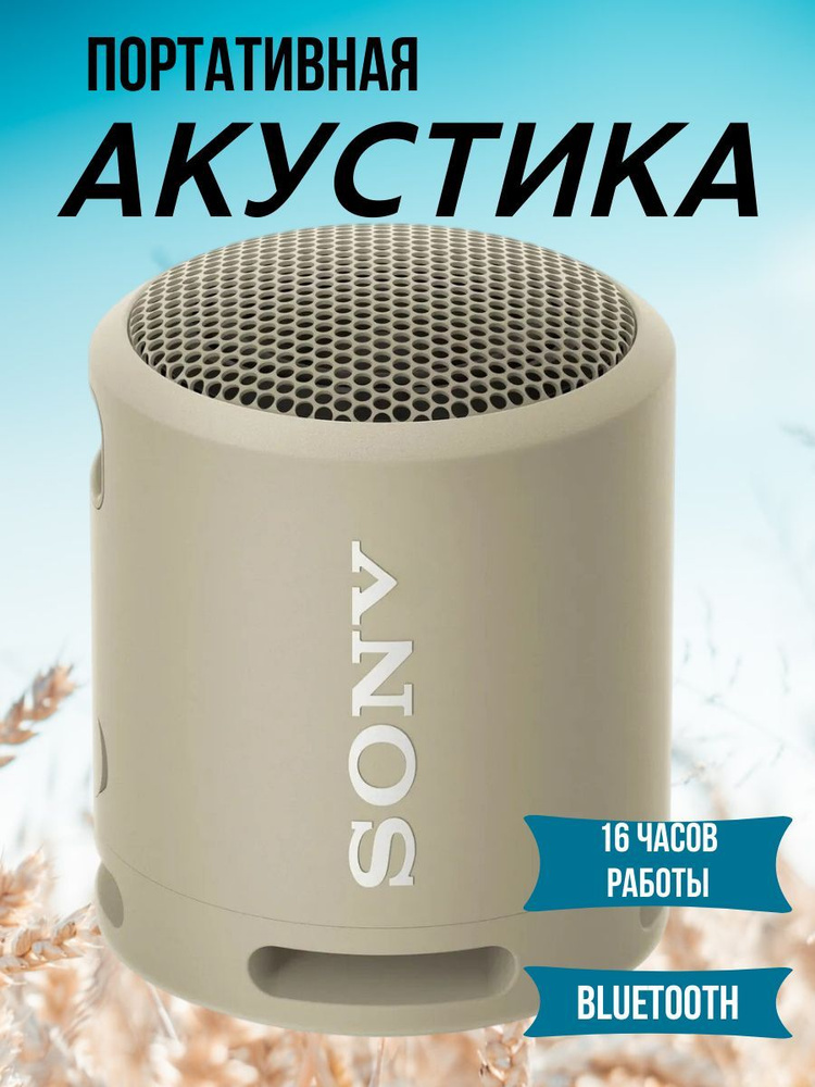 Портативная колонка Sony SRS-XB13L.Портативная акустика #1