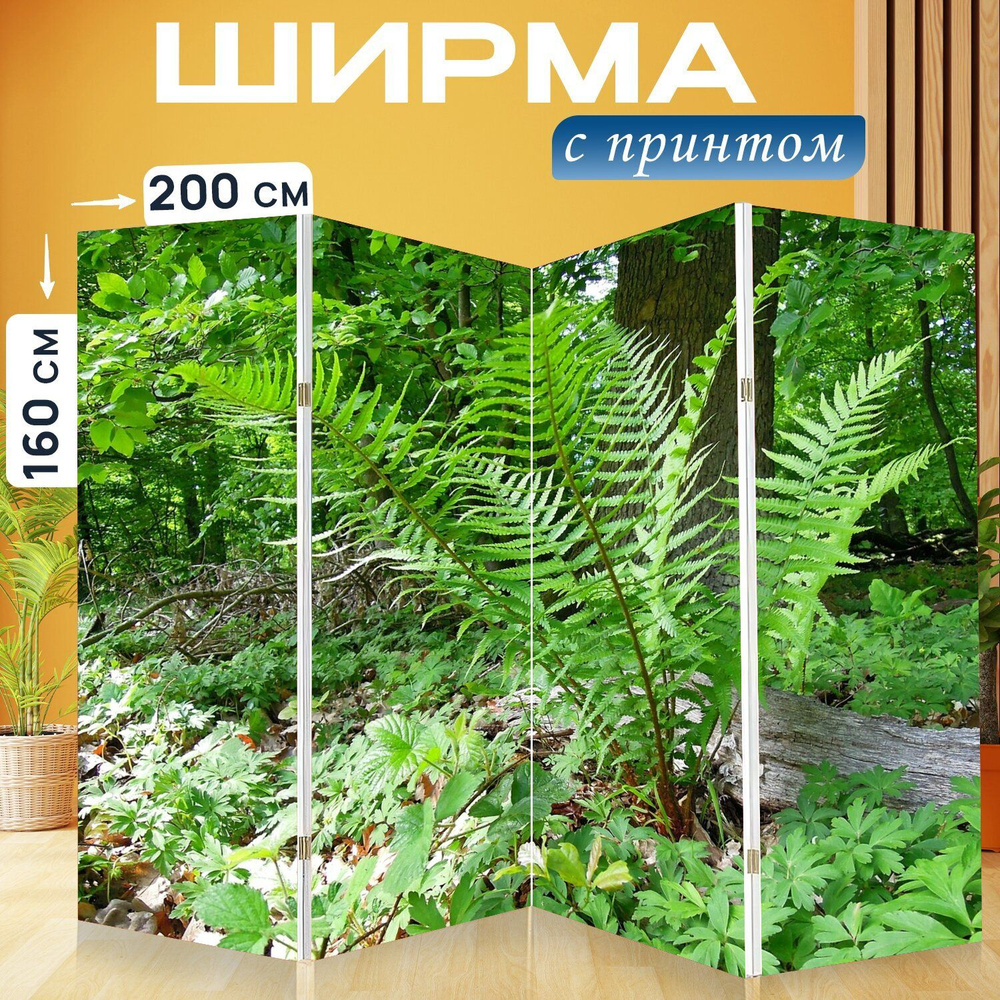 Ширма "Природа, лес, лесные растения" перегородка для зонирования комнаты с принтом 200x160 см. на холсте #1