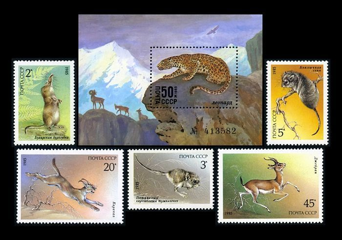 Почтовые марки СССР 1985 г. Животные "Красной Книги". Серия из 5 марок и блок. MNH(**)  #1