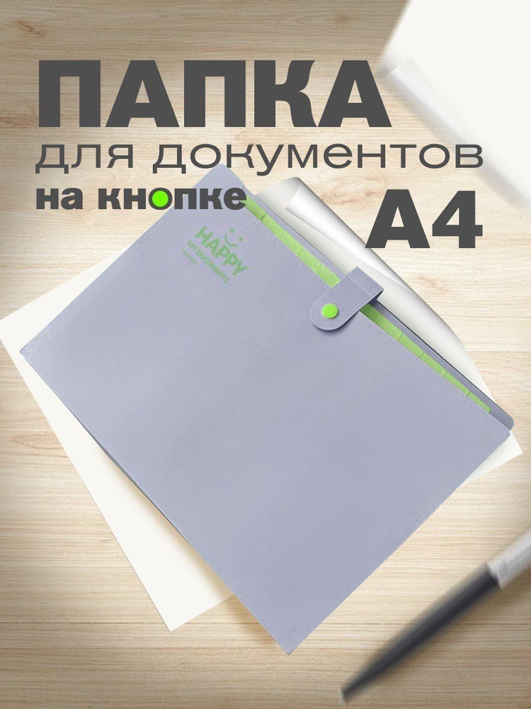  Папка с файлами A4 (21 × 29.7 см), 1 шт. #1