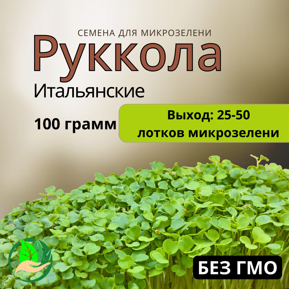 Семена рукколы для проращивания микрозелени 100 грамм #1