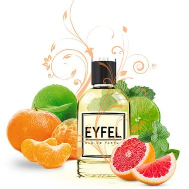 EYFEL W-1 50 ml #1