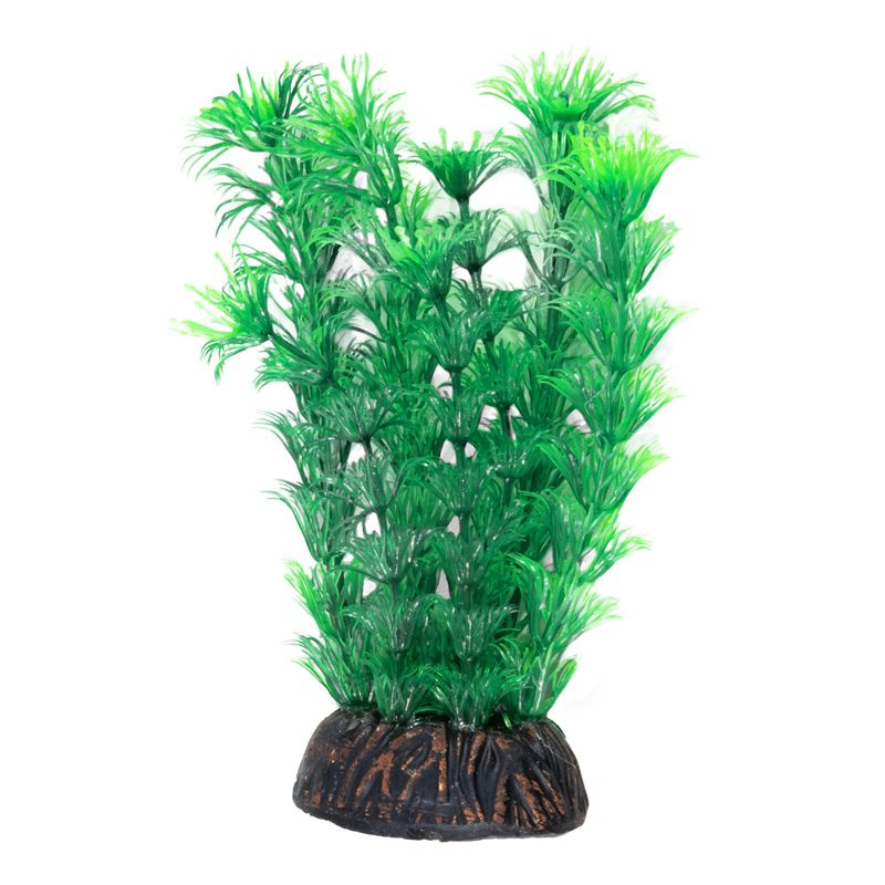 Растение "Амбулия", зеленое, 200мм #1