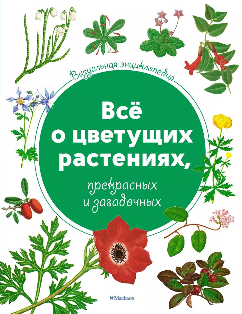 Всё о цветущих растениях, прекрасных и загадочных. Визуальная энциклопедия  #1