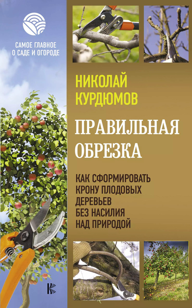 Правильная обрезка. Как сформировать крону плодовых деревьев без насилия над природой  #1