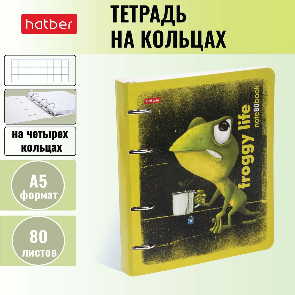 Тетрадь со сменным блоком Hatber 80 листов, формата А5, в клетку, на четырех кольцах, глянцевая ламинация #1