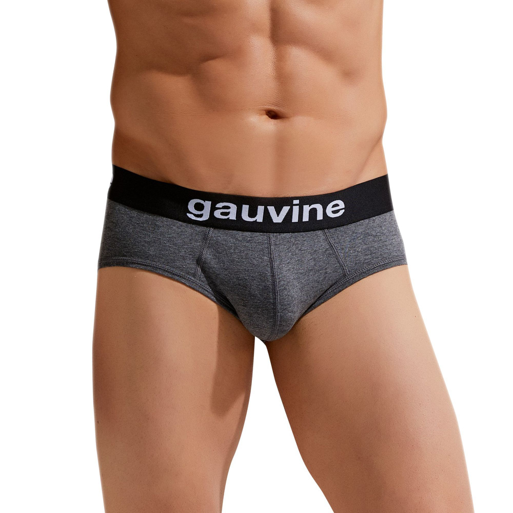 Трусы брифы GAUVINE, 1 шт #1