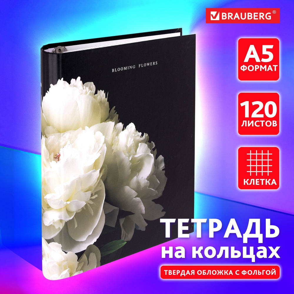 Тетрадь на кольцах А5 в клетку со сменным блоком 175х215 мм, 120 листов, обложка твердый картон, Brauberg #1