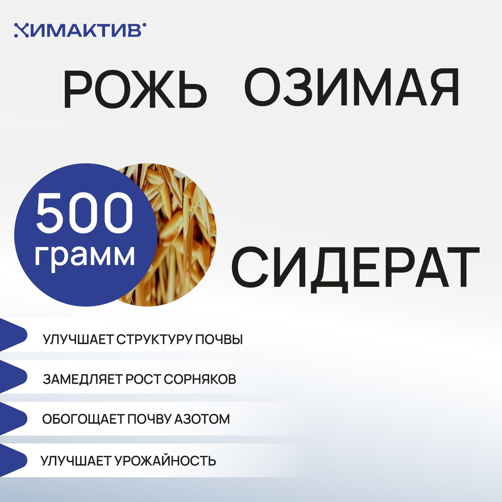 Рожь озимая (500 грамм) сидерат, удобрение для растений #1