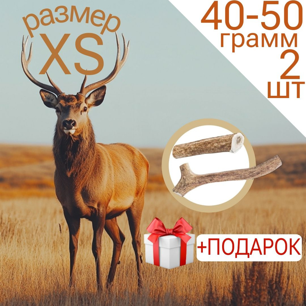 Лакомство Рога оленя для собак (Размер XS, 2 рога, 40-50 гр.) #1