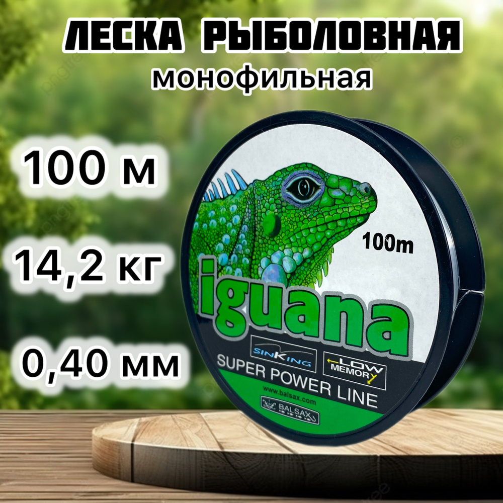 Balsax Монофильная леска для рыбалки, размотка: 100 м, толщина: 0.4 мм  #1