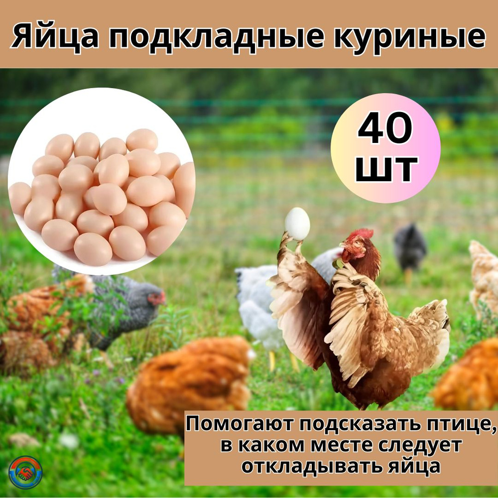 Яйцо подкладное куриное (муляж) 40 шт. для инкубаторов и курятников  #1