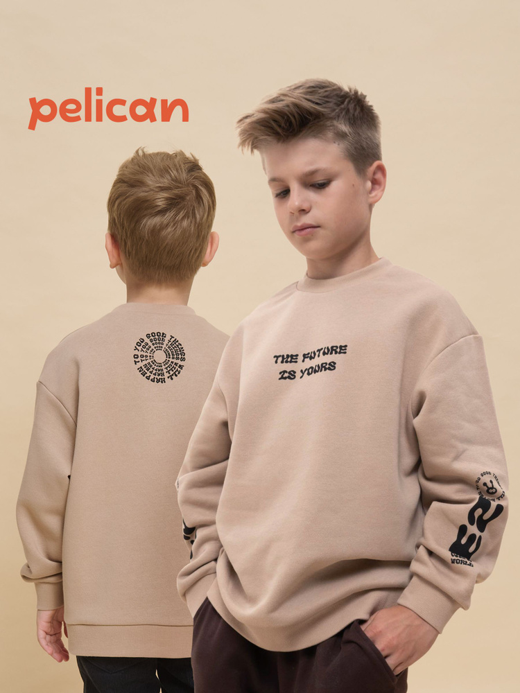 Толстовка Pelican #1