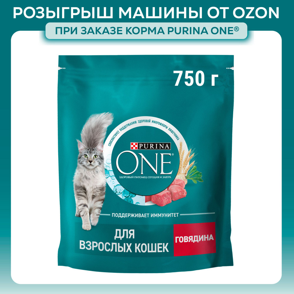 Сухой корм для кошек Purina ONE, с говядиной с цельными злаками, 750 г  #1