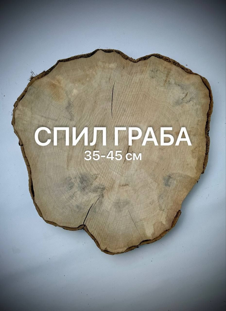 Спил Граба, диаметр 35-45 см, 1шт #1