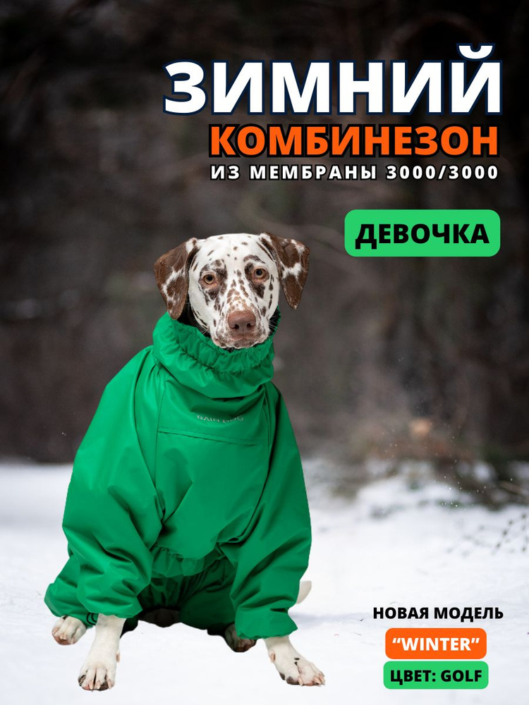 Зимний комбинезон для собак "Winter", 50/3XL, женский, golf #1