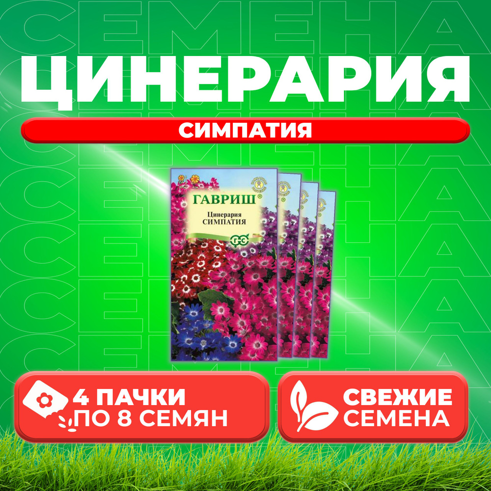 Цинерария гибридная Симпатия, смесь, 8шт, Гавриш (4 уп) #1