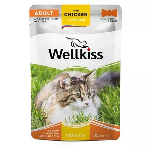 12 шт Wellkiss Adult Влажный корм (пауч) для взрослых кошек, с курицей в соусе, 85 гр.  #1