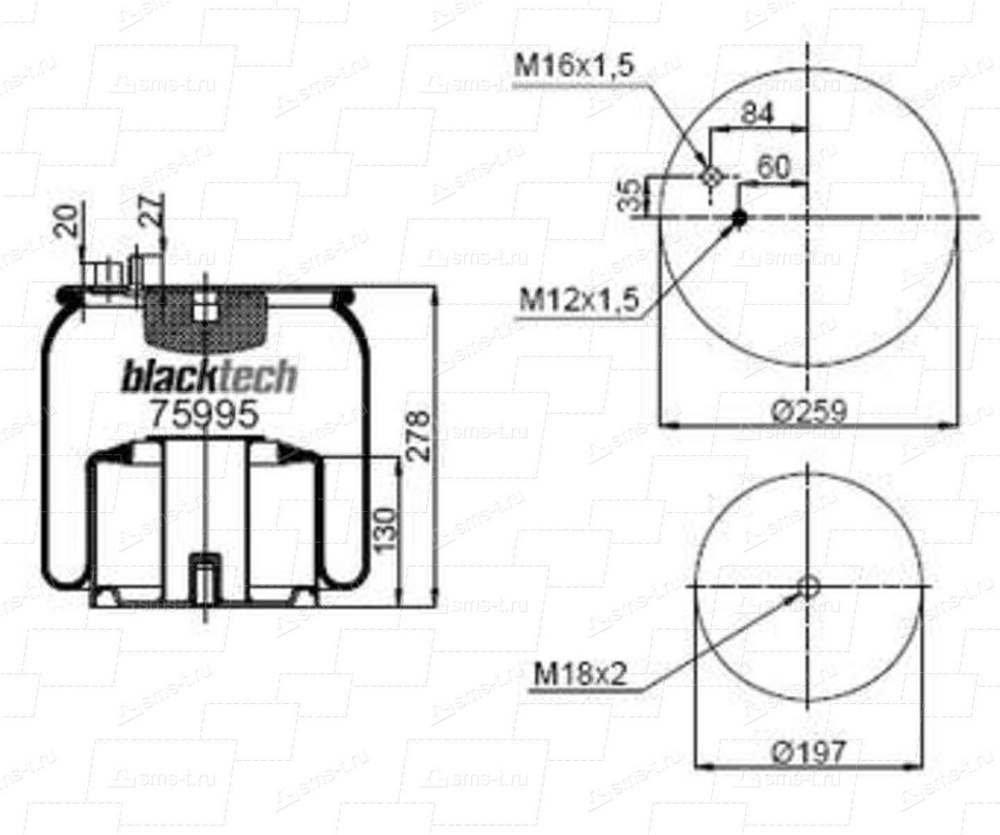 Blacktech Пневморессора, арт. RML75995, 1 шт. #1