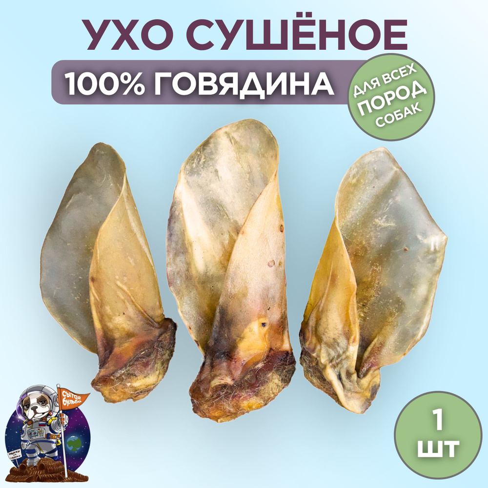 Лакомство для собак, ухо говяжье сушеное 1 штука, 50-90 грамм  #1