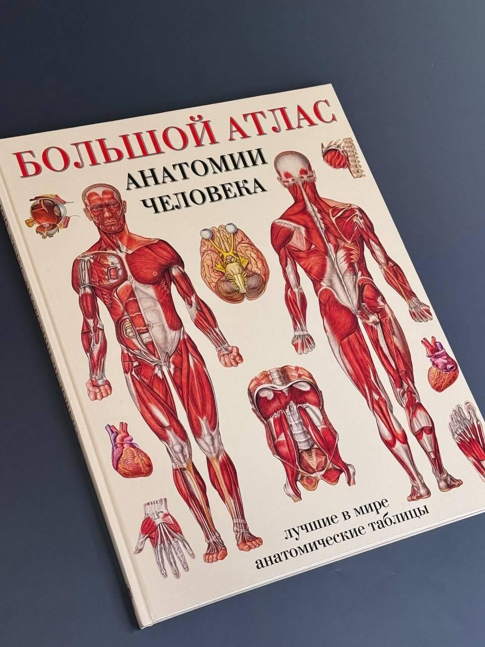 Большой атлас анатомии человека | Human Anatomy Atlas - Ozon image 1