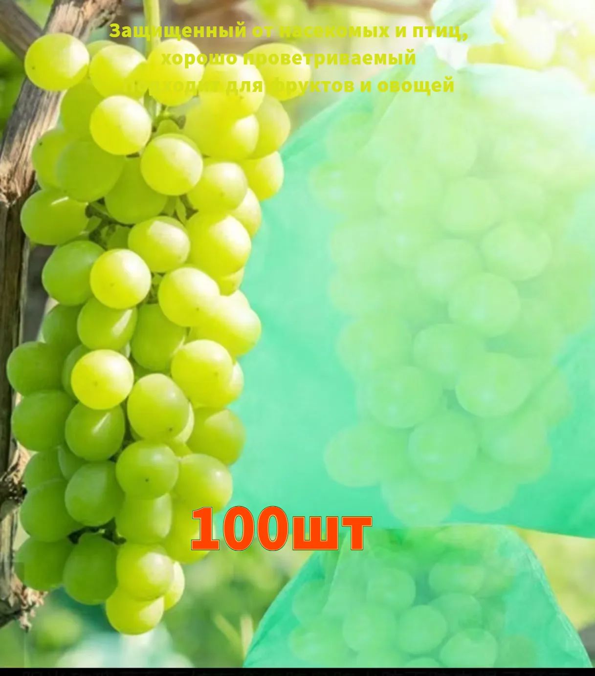 Мешкисадовые,100шт
