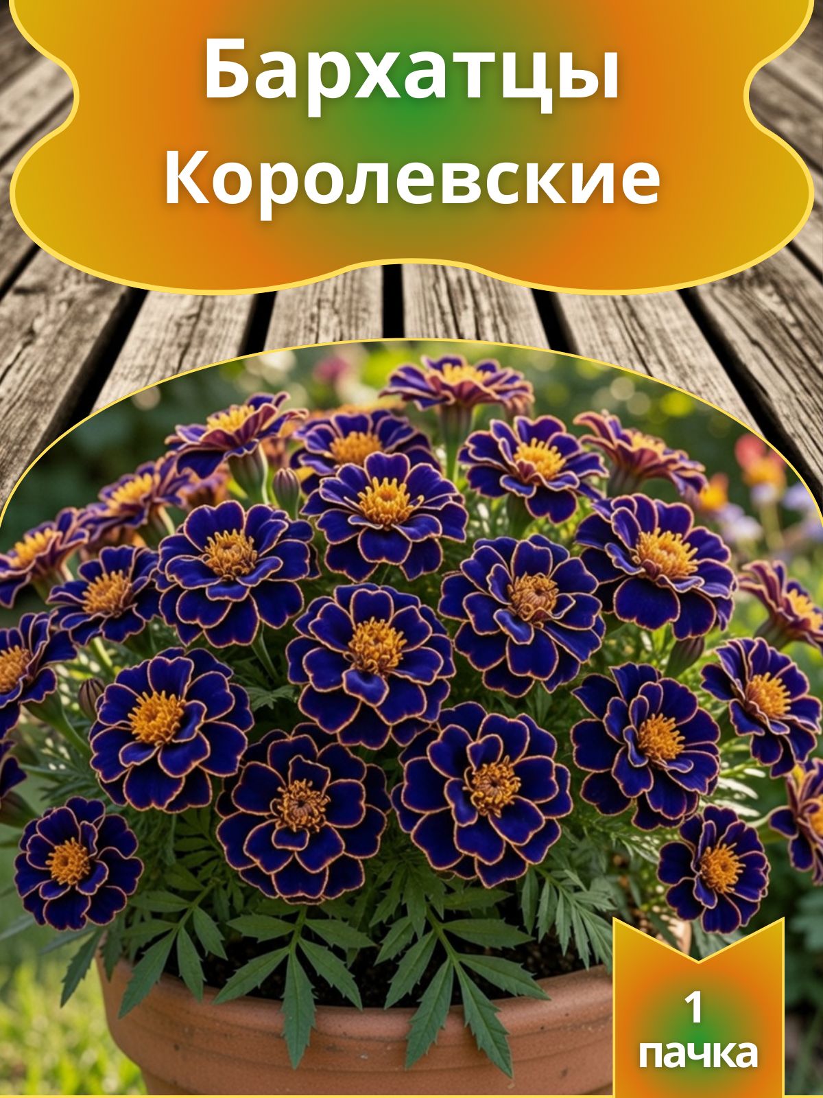 БархатцыКоролевские,семена10шт.