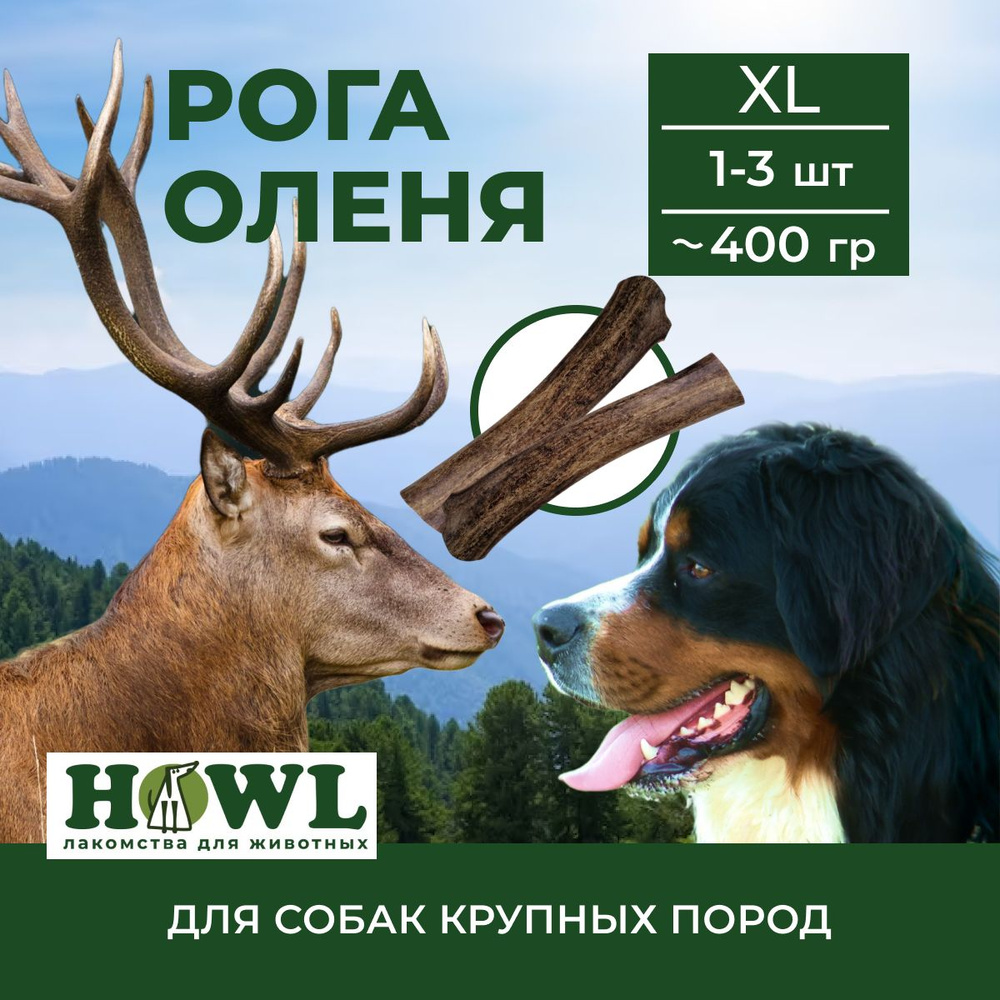 Рог Северного оленя для собак крупных пород (размер XL) 400 гр. Натуральные лакомства для собак HOWL #1