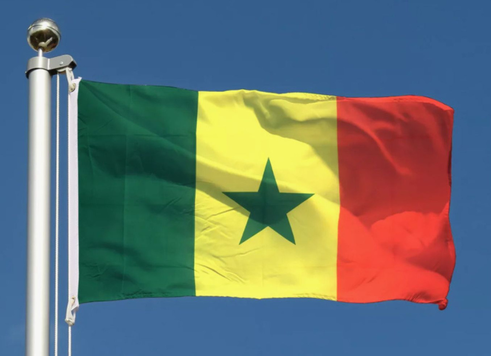 Флаг Сенегала 40х60 см #1