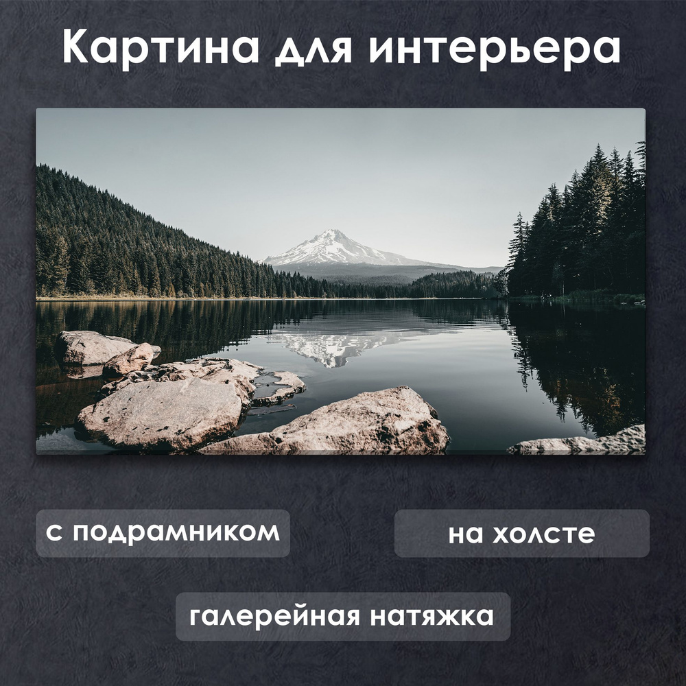 Картина для интерьера с подрамником на холсте на стену Лесное озеро с горой вдалеке  #1