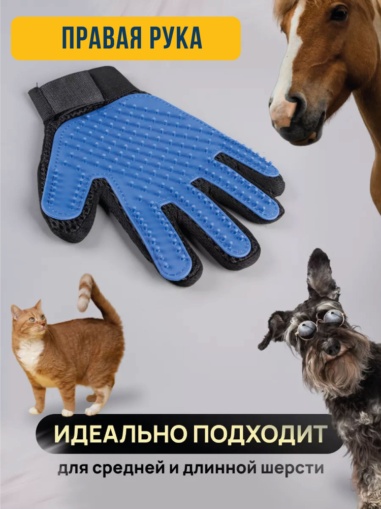 Перчатка для чистки животных от шерсти синяя правая #1