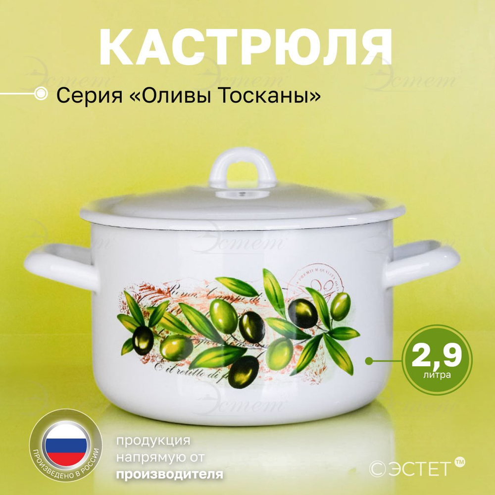 Кастрюля с крышкой 2.9 л "Эстет" эмалированная / кастрюля для индукционных плит  #1