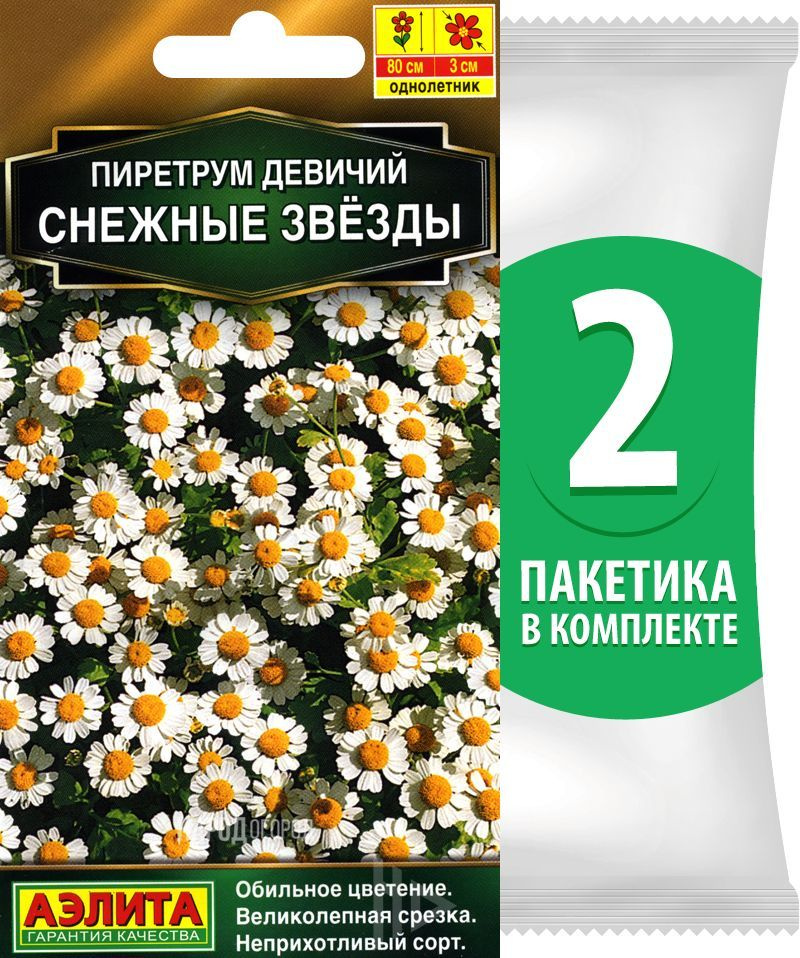 Семена Пиретрум девичий Снежные Звезды, 2 пакетика по 7шт  #1