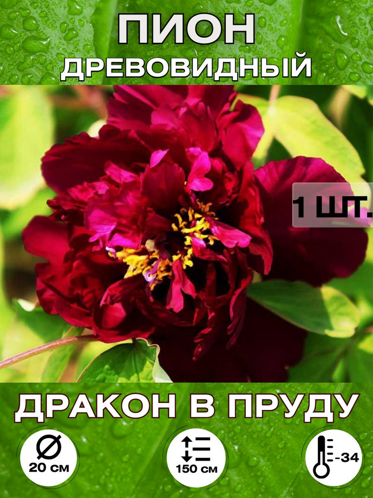 Magic Blooming Garden Семена ,1шт #1