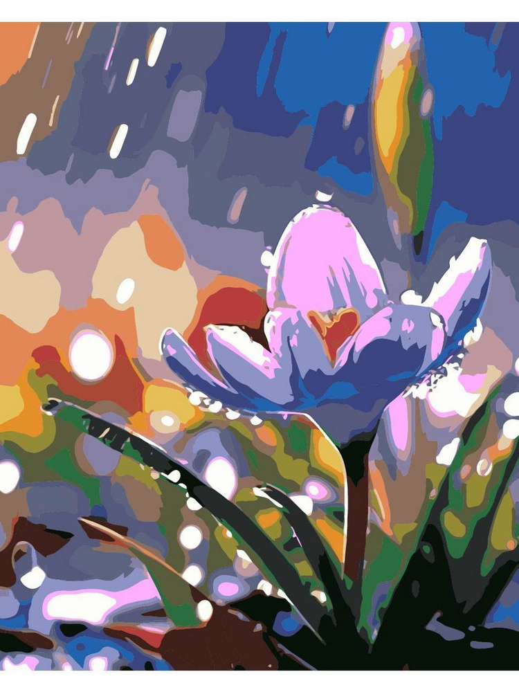 Картина по номерам Цветы Крокус на холсте с деревянным подрамником размер 40х50, акриловые краски, кисточки, #1