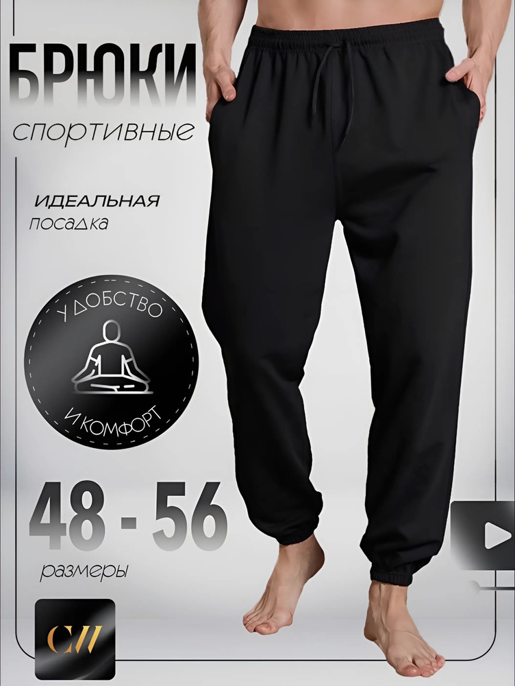 Брюки спортивные Top Clothes PREMIUM+ #1