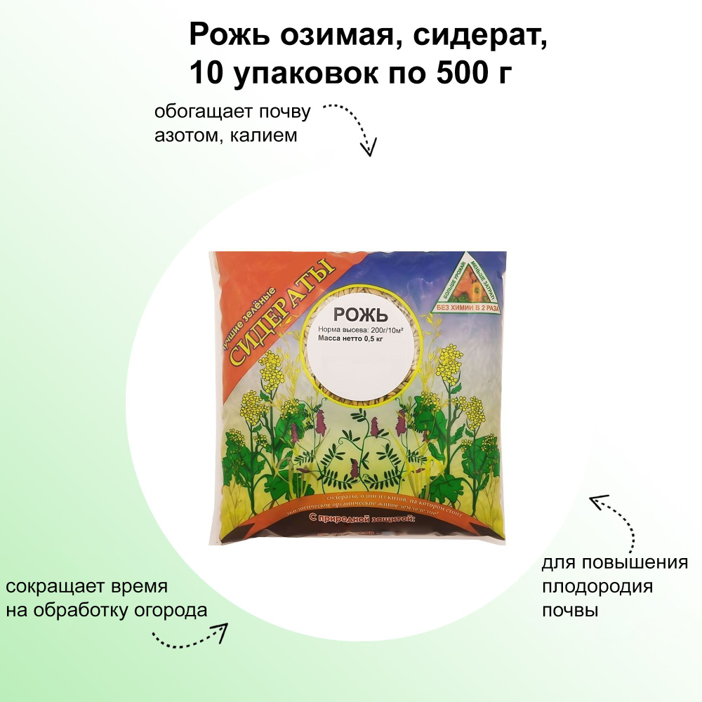 Рожь озимая, сидерат 10x500 г. Повышает плодородие почвы, служит натуральным источником питания  #1