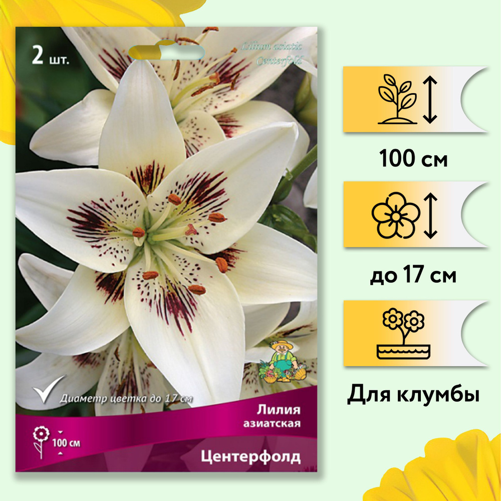 Лилия луковицы многолетние (азиатская) - Центерфолд - 2 шт  #1