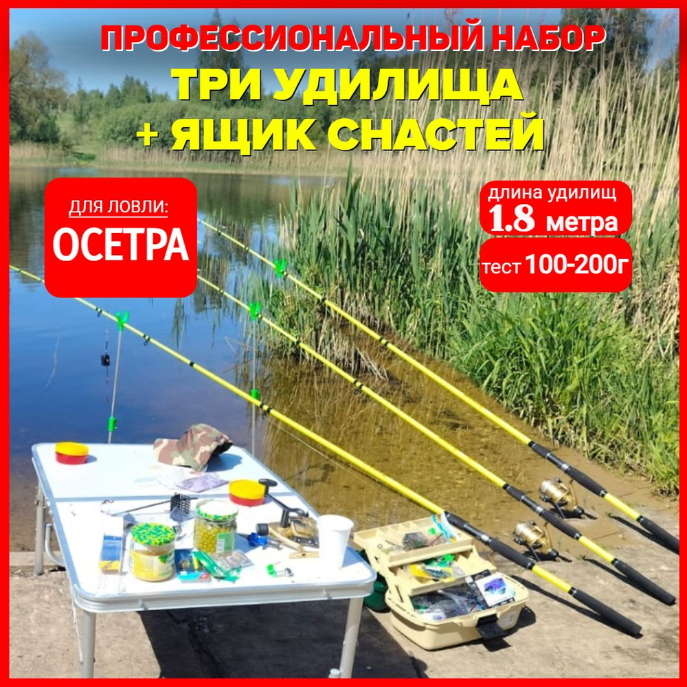 Карповое удилище Осетр 3 шт, 1,8 м, тест 100-200г + ящик для снастей  #1